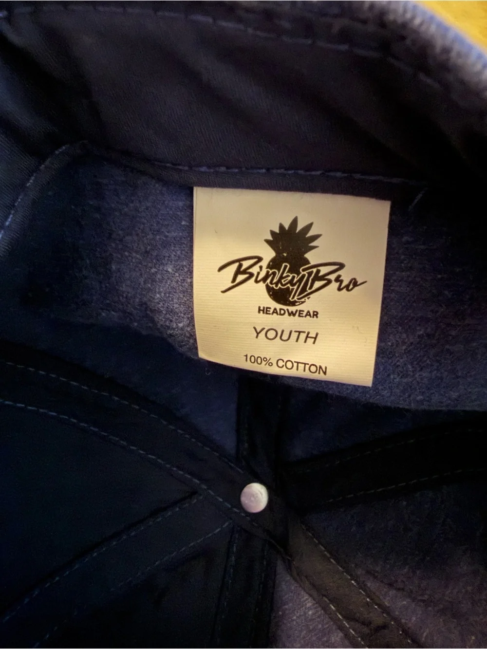 **NWT** Binky Bro- Blue Snapback Cap